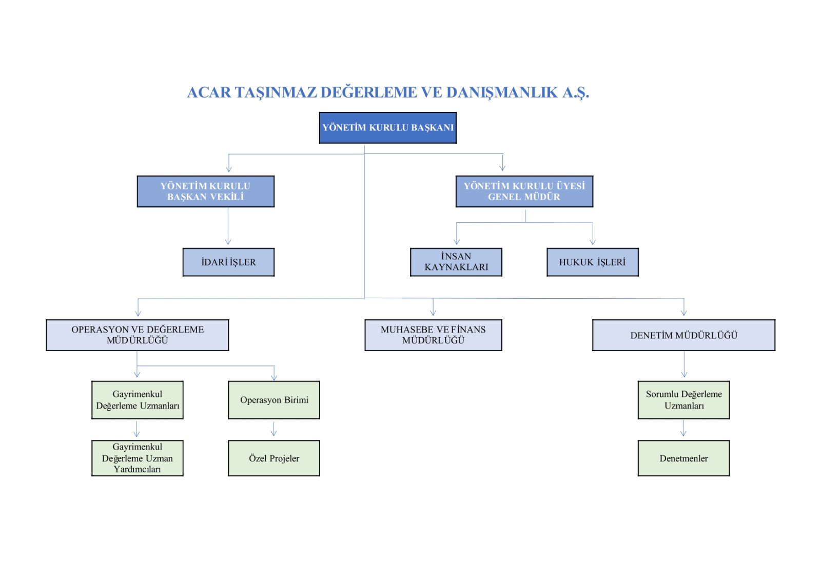 organizasyon semasi